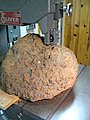 Cutting Through Burl